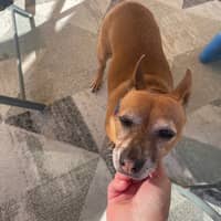 Sitter Profile Image: Wendee Z.