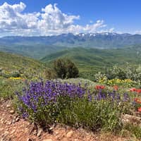 Sitter Profile Image: Jacob F.