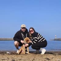 Sitter Profile Image: George P.