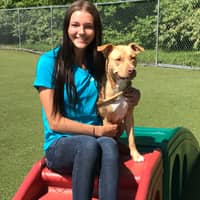 Sitter Profile Image: Taylor B.