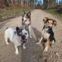 Foto del cuidador: Tes Q.