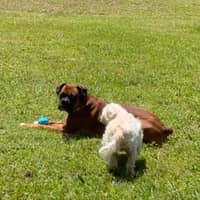Sitter Profile Image: Analia & Zachery R.