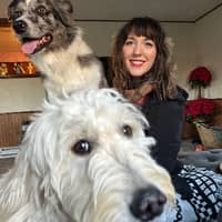 Sitter Profile Image: Courtney S.