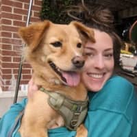 Sitter Profile Image: Alison S.