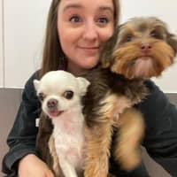 Sitter Profile Image: Kelsey N.