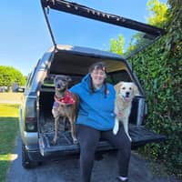 Sitter Profile Image: Kaitlyn L.