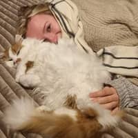 Sitter Profile Image: Rose B.