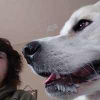 Sitter Profile Image: Tina C.