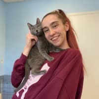 Sitter Profile Image: Cailen A.