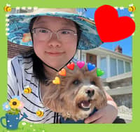 Sitter Profile Image: Wenxu Q.
