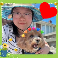Sitter Profile Image: Wenxu Q.