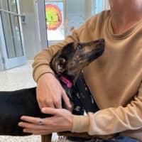 Sitter Profile Image: Landen B.