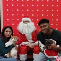 Sitter Profile Image: Christopher P.