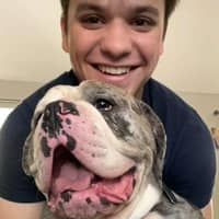 Sitter Profile Image: Collin U.