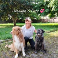 Photo de profil du pet sitter : Audrey B.