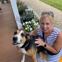 Sitter Profile Image: Alexis H.