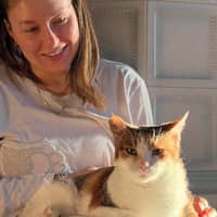 Immagine del profilo del sitter: Monica D.