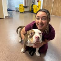 Sitter Profile Image: Victoria M.