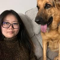 Sitter Profile Image: Chen C.