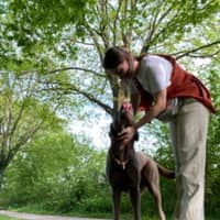 Sitterprofilbild: Jessica P.