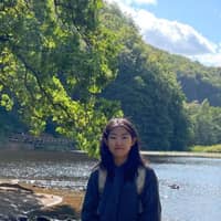 Passarens profilbild: Sining Z.