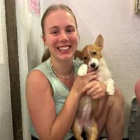 Sitter Profile Image: Maura Y.