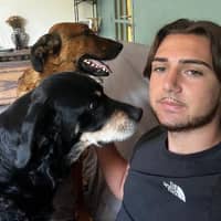 Photo de profil du pet sitter : Joe M.