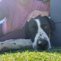 Foto del cuidador: Tatiana M.