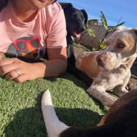 Foto del cuidador: Tatiana M.