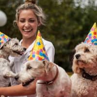 Sitter Profile Image: Caitlin S.