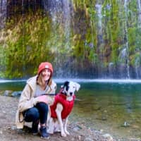 Sitter Profile Image: Madison G.