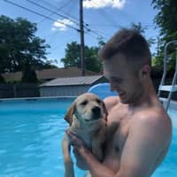 Best Doggy Day Care In Dewitt Mi Rover Com