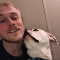 Sitter Profile Image: Reich B.