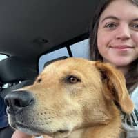 Sitter Profile Image: Shelby W.