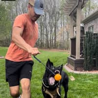 Sitter Profile Image: Luis M.