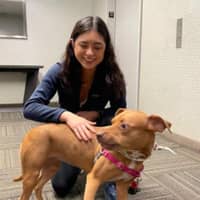 Sitter Profile Image: Alexandria Y.