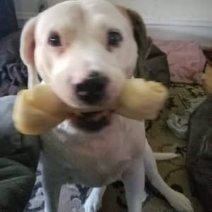 Sitter Profile Image: Katie S.