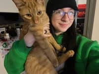 Sitter Profile Image: Brianna F.