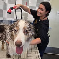 Sitter Profile Image: SOPHIE D.