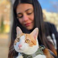 Foto del cuidador: Siomara corel P.