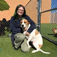 Sitter Profile Image: Ashliana C.