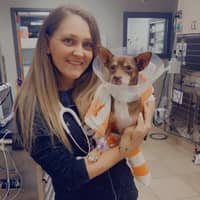 Sitter Profile Image: Lisa C.