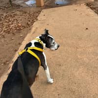 Sitter Profile Image: Taryn N.