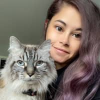 Sitter Profile Image: Destiny S.