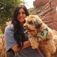 Sitter Profile Image: Alina C.