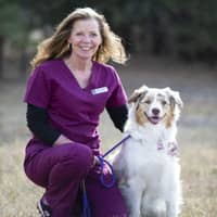 Sitter Profile Image: Blyth H.