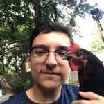 Sitter Profile Image: Alberto M.