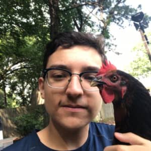 Sitter Profile Image: Alberto M.