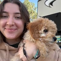 Sitter Profile Image: Danae H.