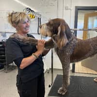 Sitter Profile Image: Jane K.